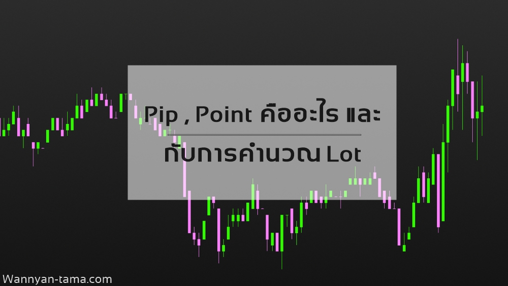 Pip Point